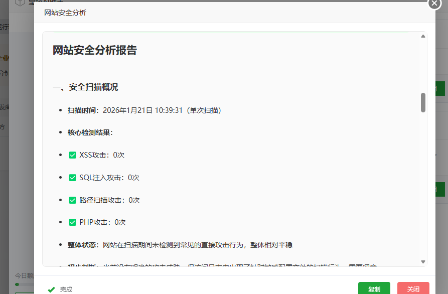 安全分析报告