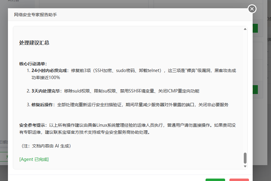 安全专家报告