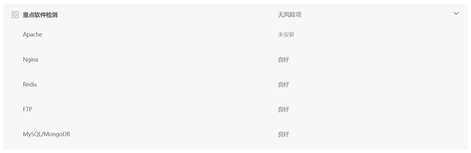 重点软件检测